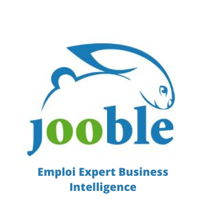 Trouver un emploi d'Expert en Business Intelligence